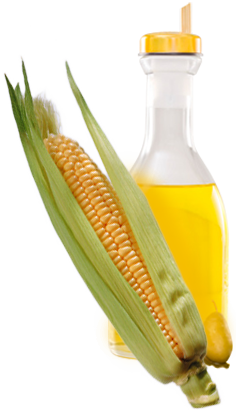 Refined Corn/Maize Oil